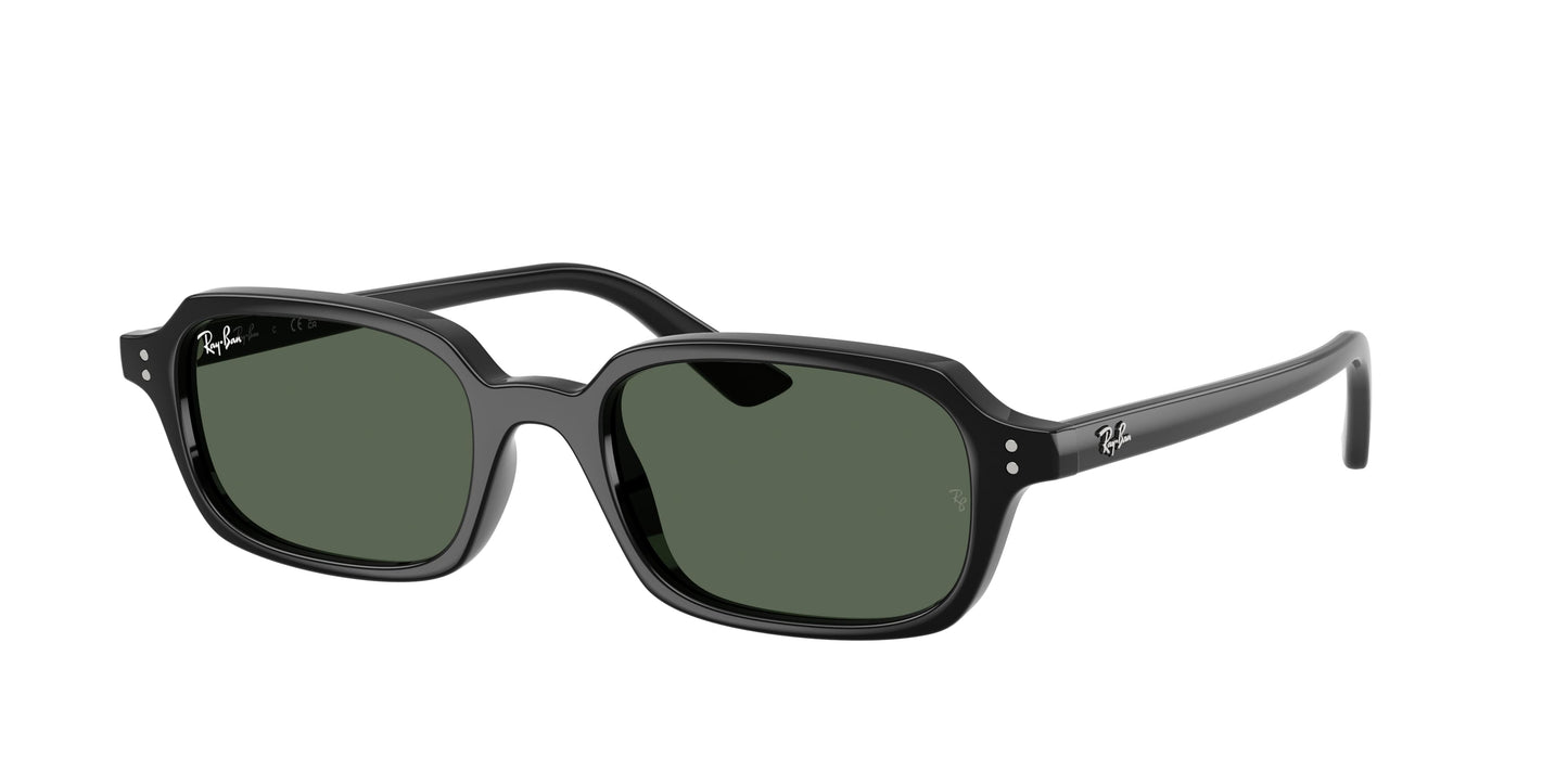 Ray Ban RB4455 667771