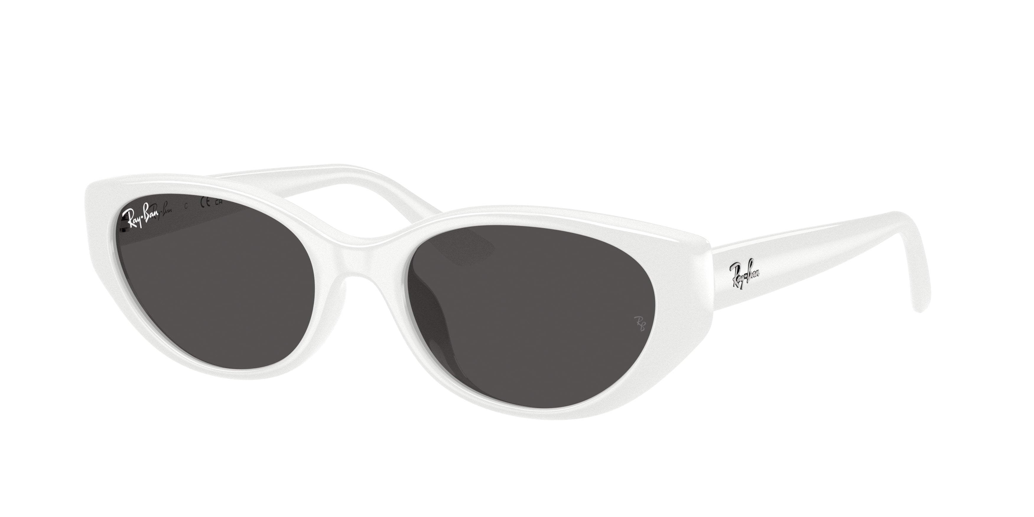 Ray Ban RB4457D 677287