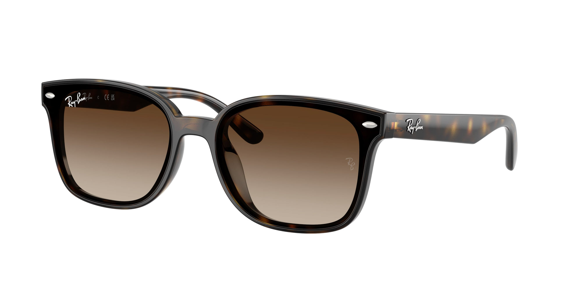 Ray Ban RB4461D 710/13