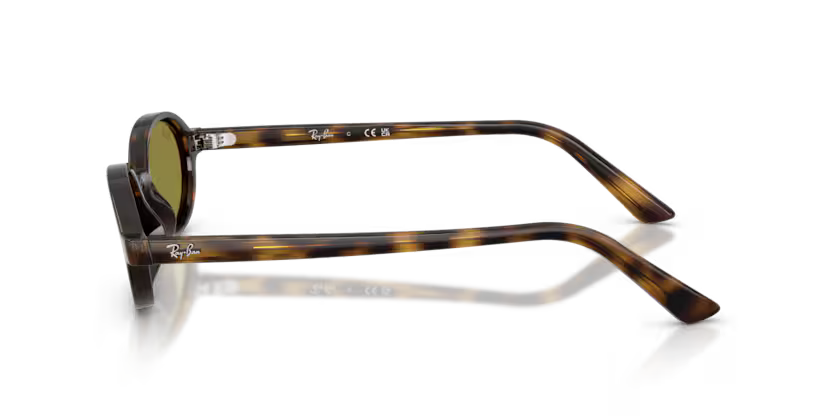 Ray Ban RB4472 1359/2