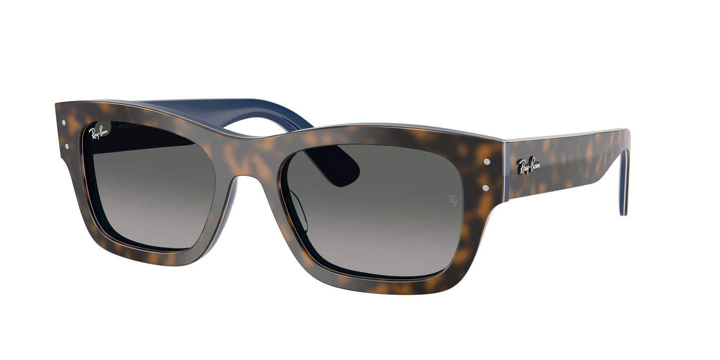 Ray Ban RB7683S 140171