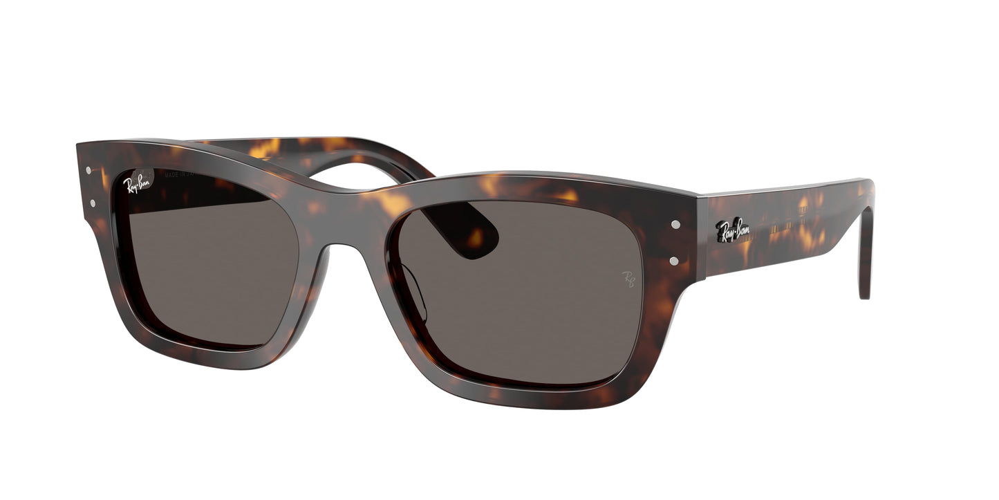 Ray Ban RB7683S 902/B1