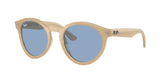 Ray Ban RBR0505S 678072