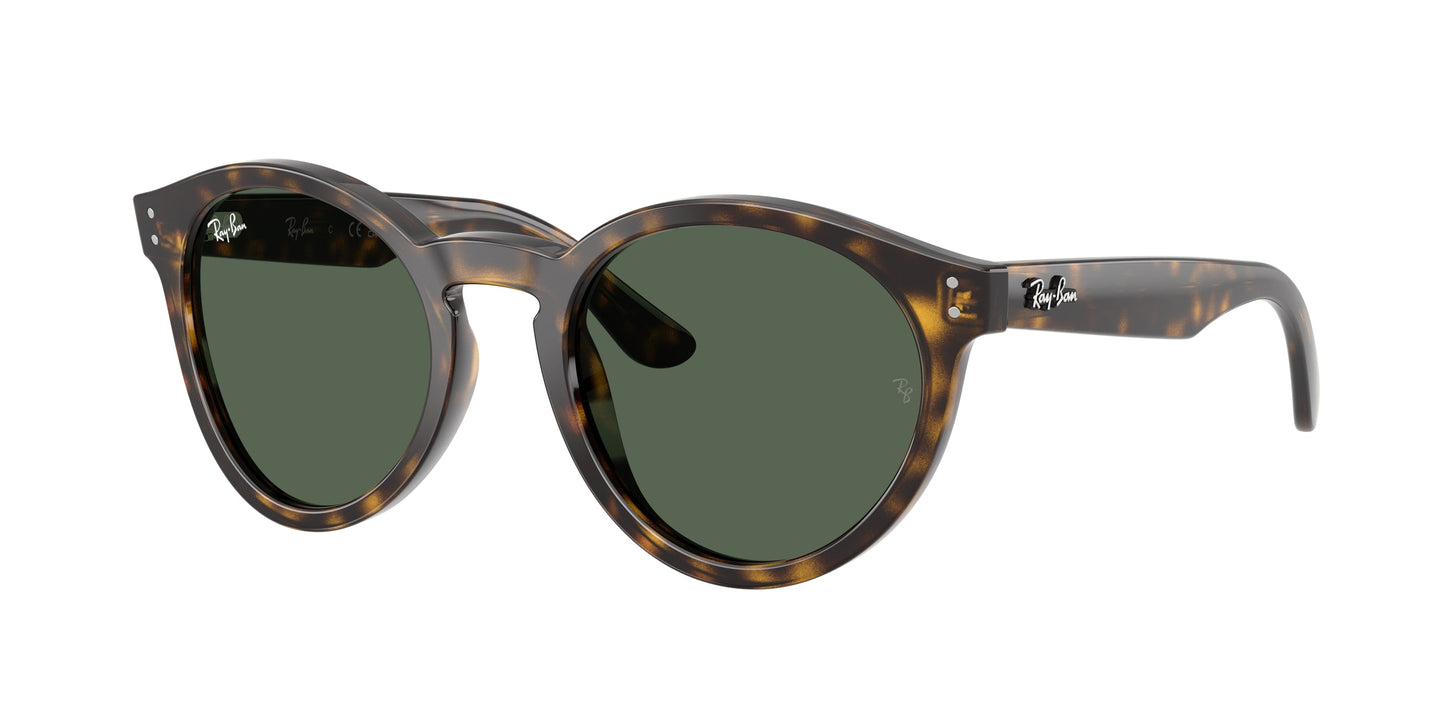 Ray Ban RBR0505S 6790VR