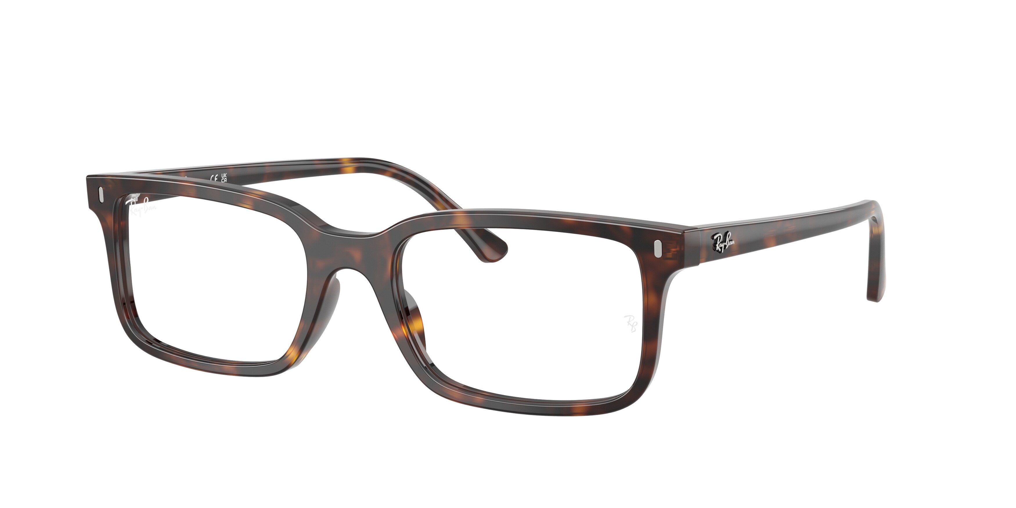 Lunettes de vue Ray-Ban RX5445 (2012)