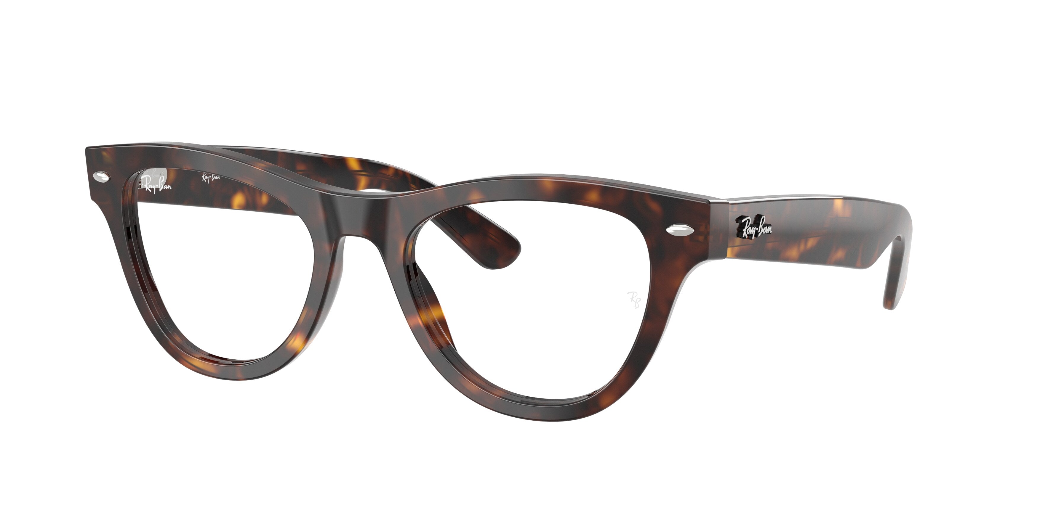 Lunettes de vue Ray-Ban RX5510 (2012)