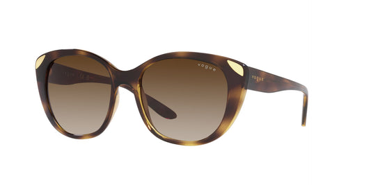 Gafas de sol Vogue VO5457S W65613