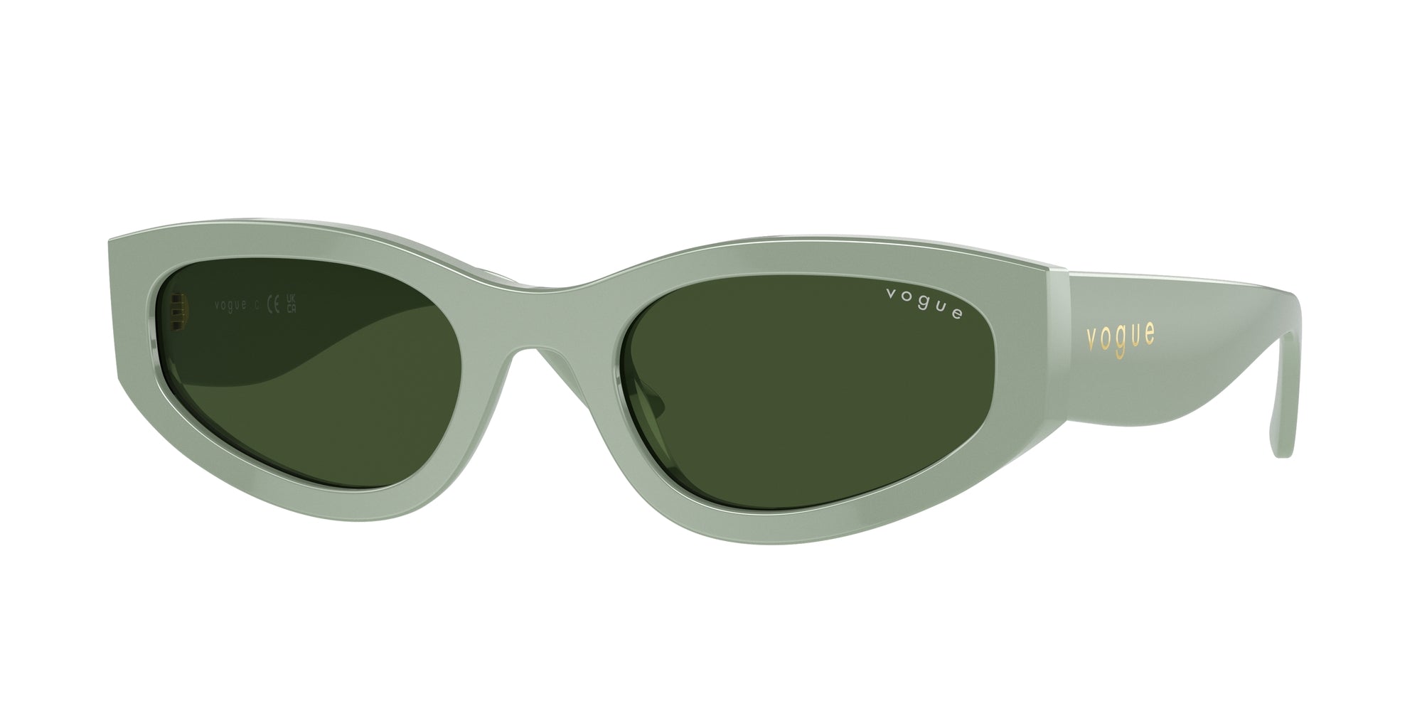 Sunglasses Vogue VO5585S 316171