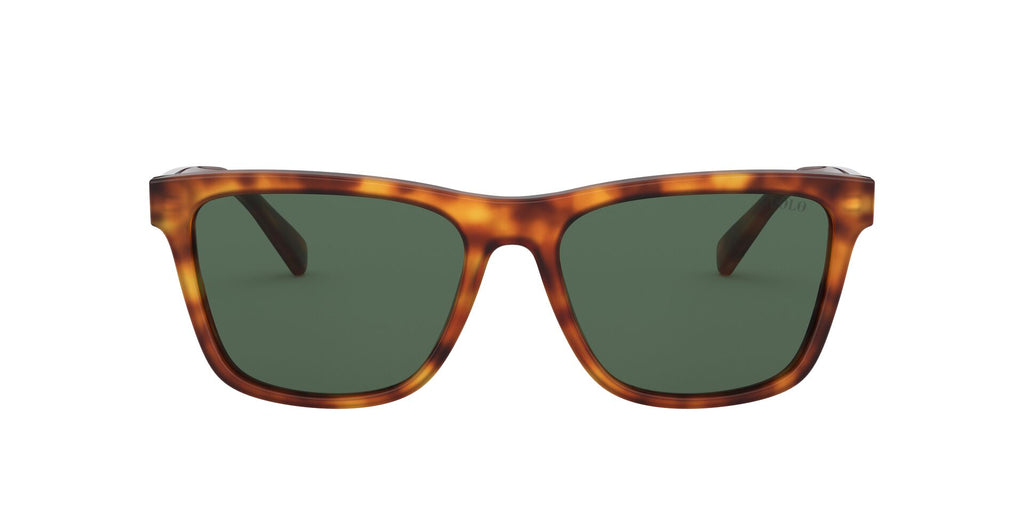 Gafas de sol POLO 0PH4167 502371