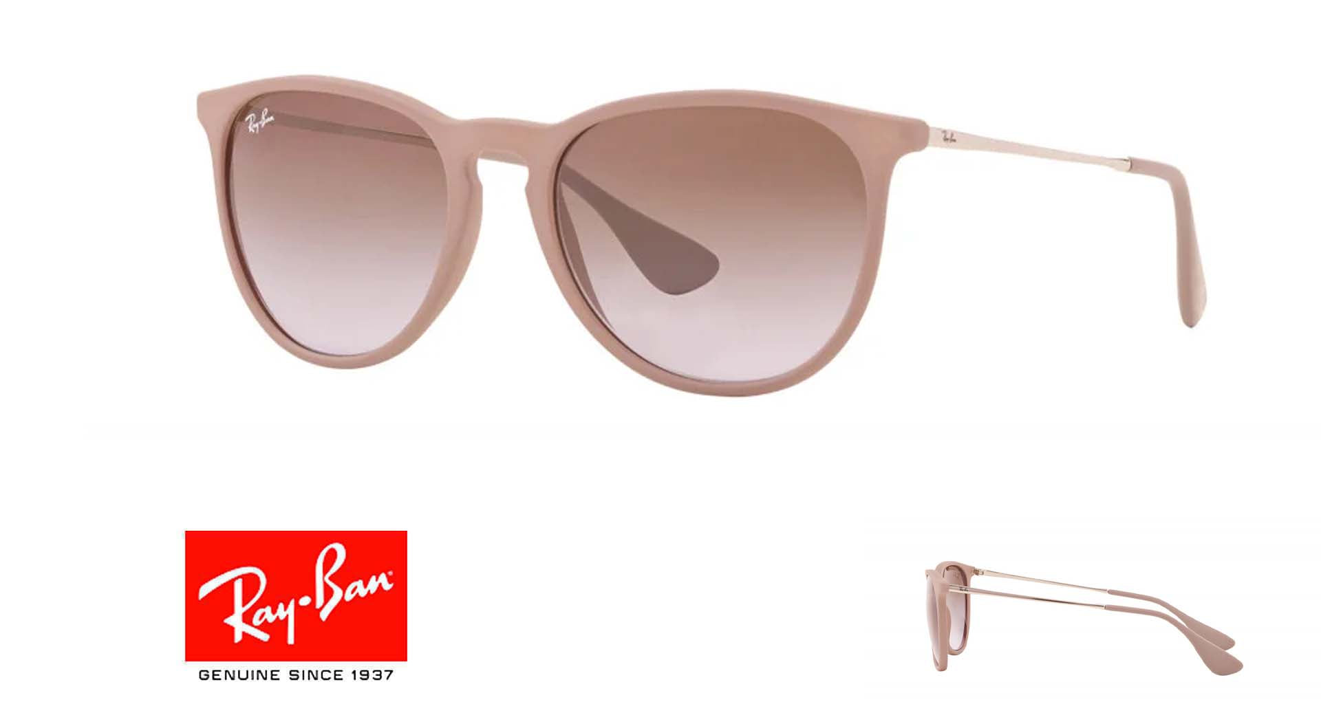 Original Ray Ban 4171 Ersatzstangen