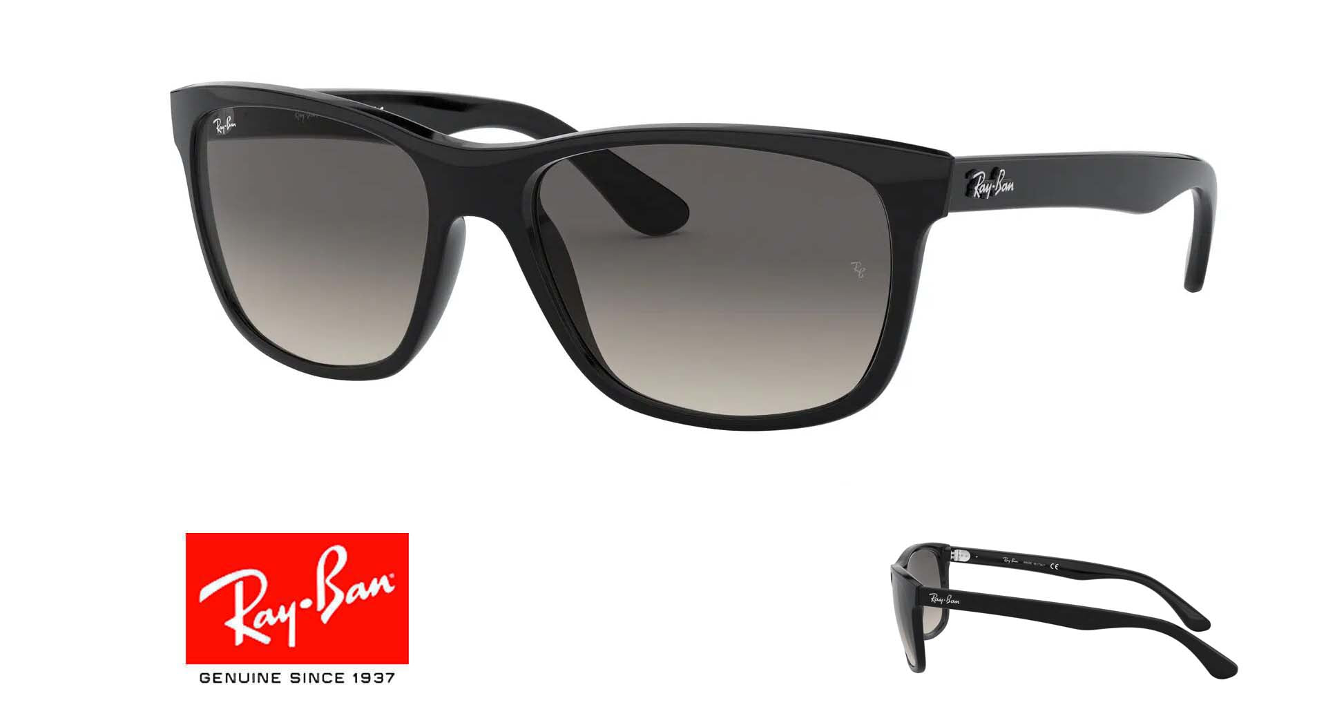 Original Ray Ban 4181 Ersatzstangen